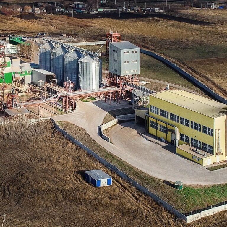 Cattle Feed Plant Projects: Driving Sustainable Livestock Production